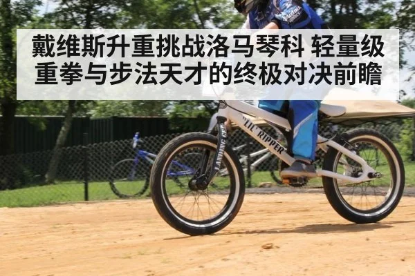 戴维斯升重挑战洛马琴科 轻量级重拳与步法天才的终极对决前瞻